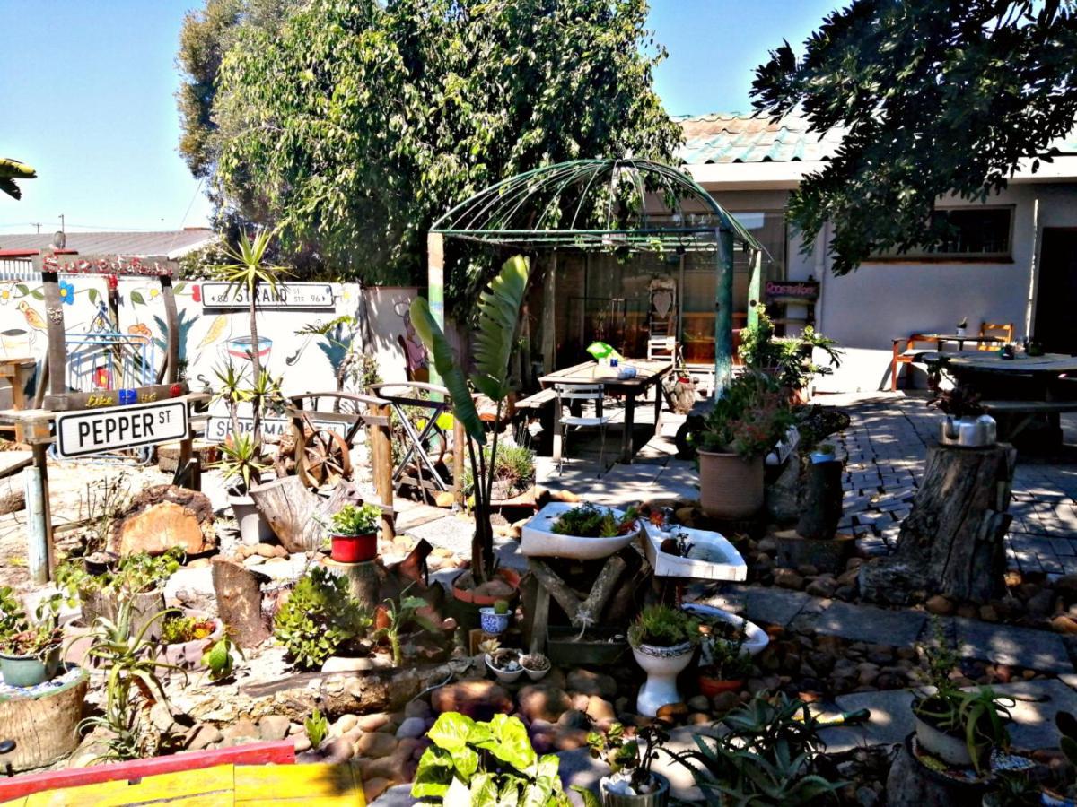 Suzie'S Coffee Shop Accommodation Bellville Exteriér fotografie